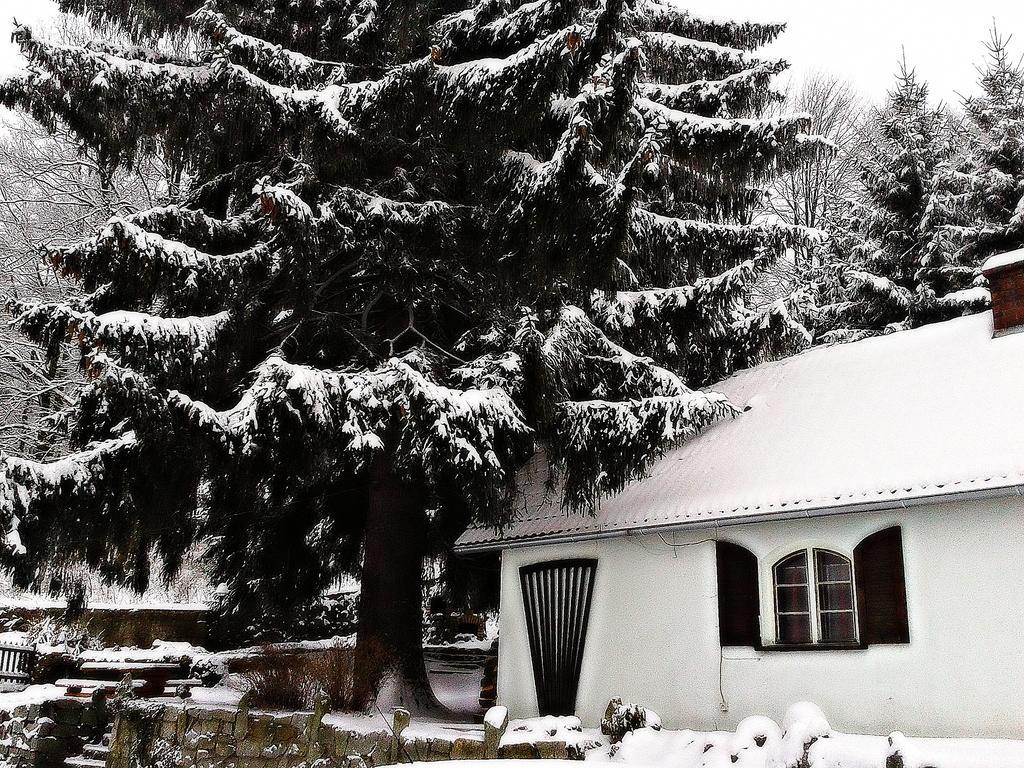 Hotelik Krasnoludki Sosnówka Zewnętrze zdjęcie